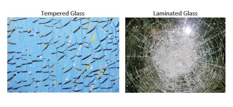 auto glass