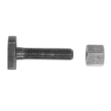 1967-1981 Camaro Leaf Spring T Bolt And Nut Image