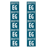 1968 Camaro SS396 Coil Spring Decals Code EG Image