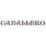 1978-1987 Caballero Tailgate Decal (Black / Flame) Image