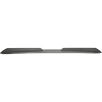 Product 1969 Camaro Pro Touring Rear Spoiler Kit Carbon Dipped Image